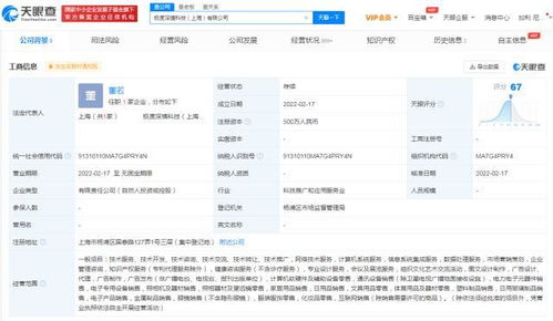 互聯(lián)網(wǎng)設(shè)備銷售 趨勢、挑戰(zhàn)與未來展望